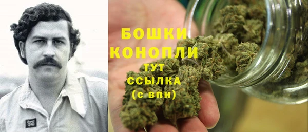 прущие грибы Абдулино