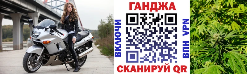 хочу наркоту  mega как войти  Бошки Шишки план  Тайга 